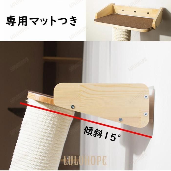 爪研ぎ