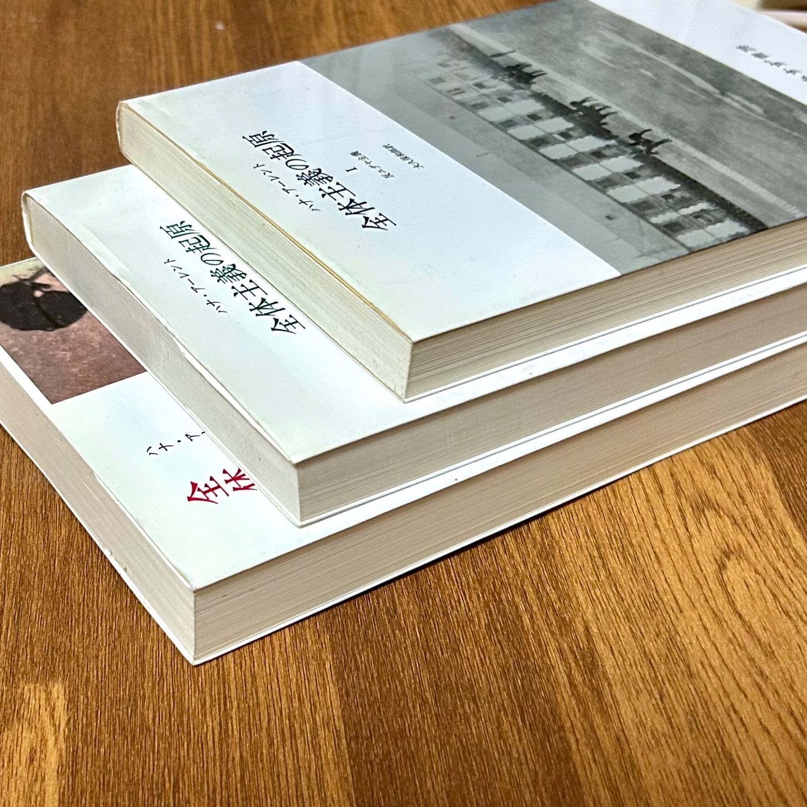 ハナ・アーレント 全体主義の起原 I23 #アーレント