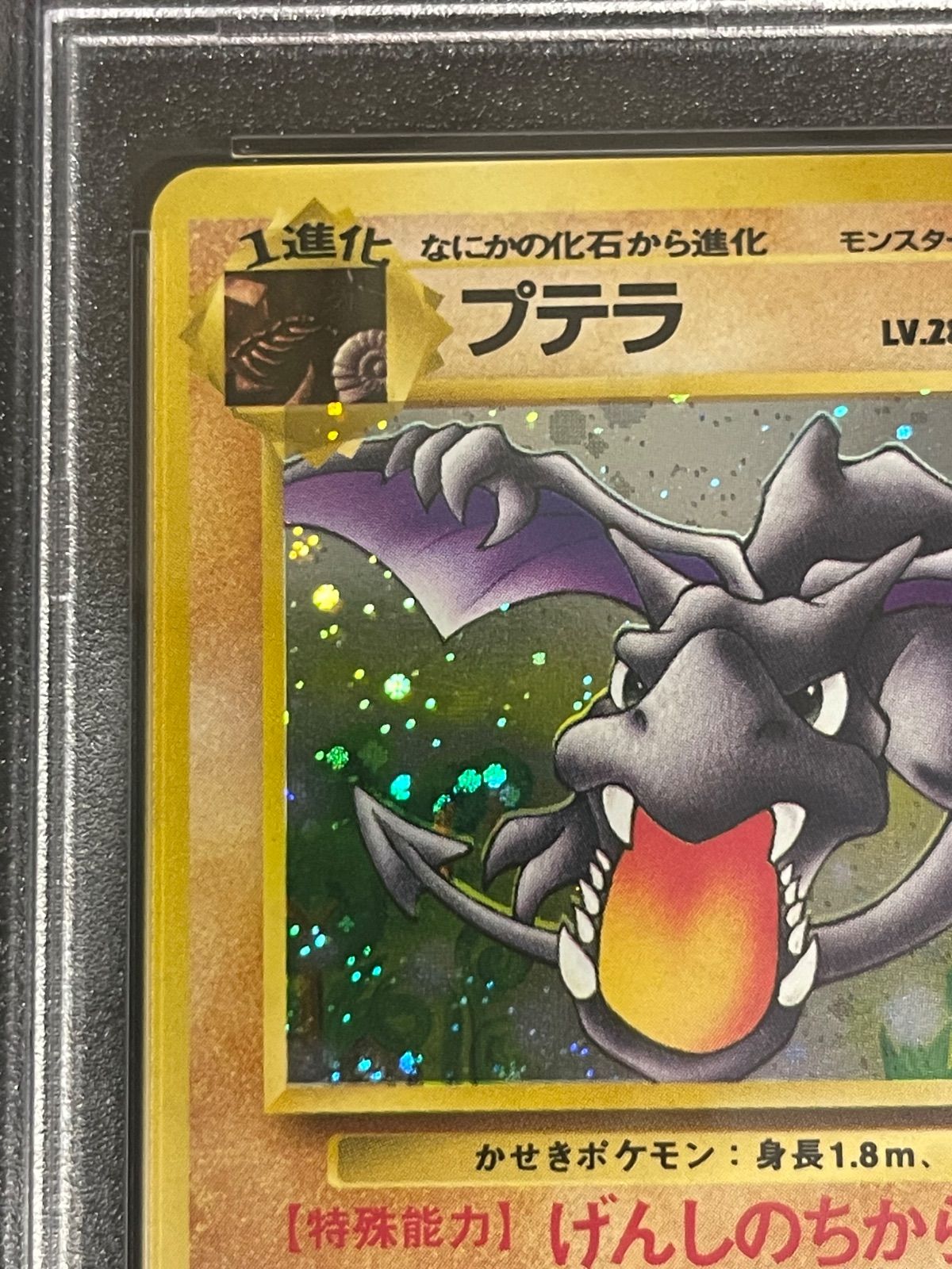 ポケモンカード 1997年 プテラ 旧裏 PSA 8鑑定品 psa鑑定 8 プテラ 旧裏 キラ ポケモンカード 1996 - メルカリ