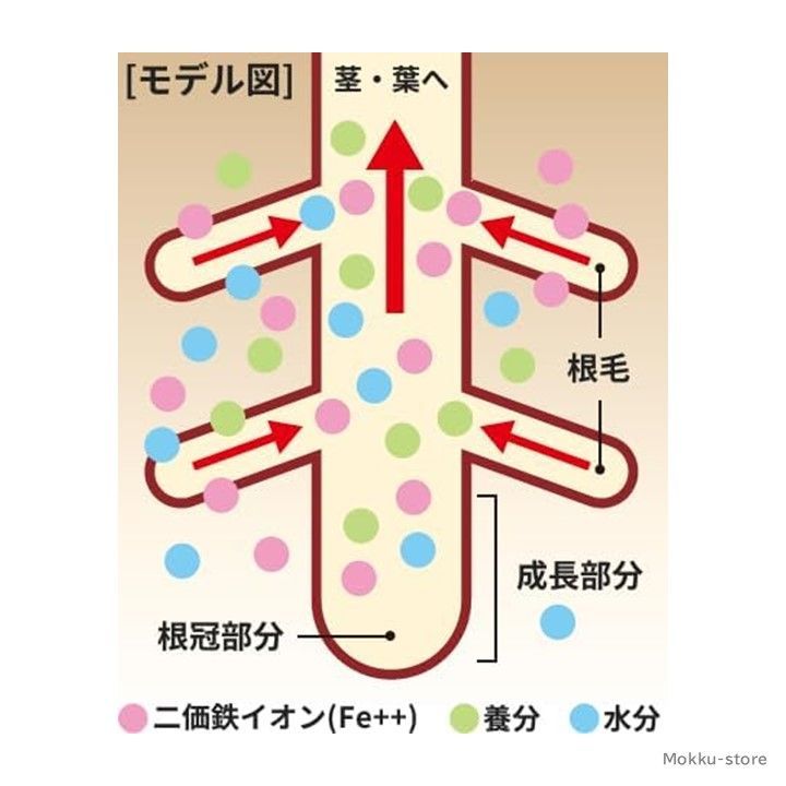 種まき 植え付け
