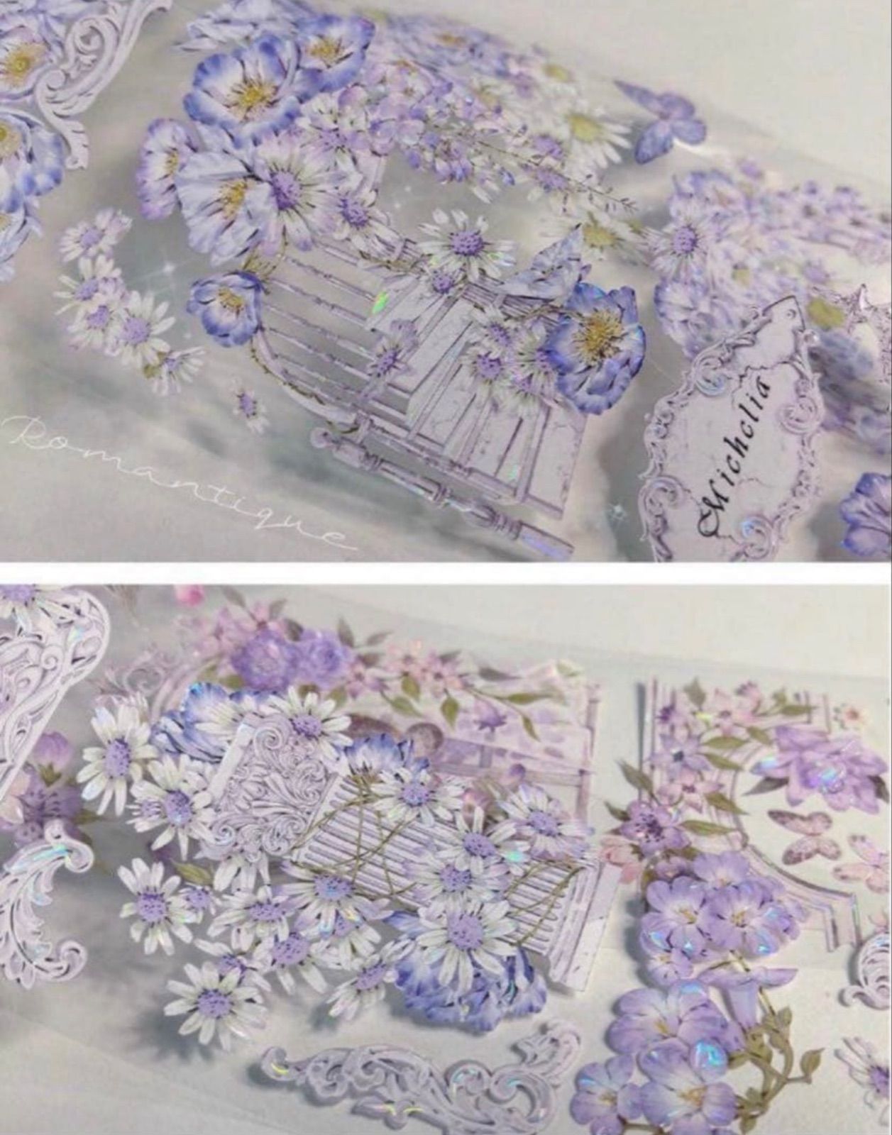 贝壳光 6cm×10m 共栖语 海外マスキングテープ 海外マステ 花 階段