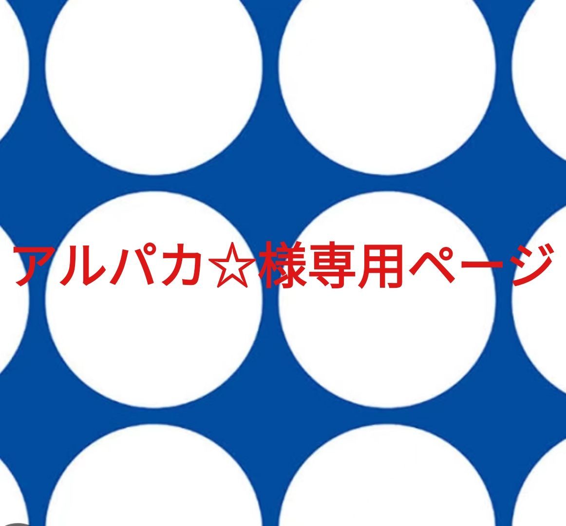 アルパカ☆様専用ページです。 - メルカリ