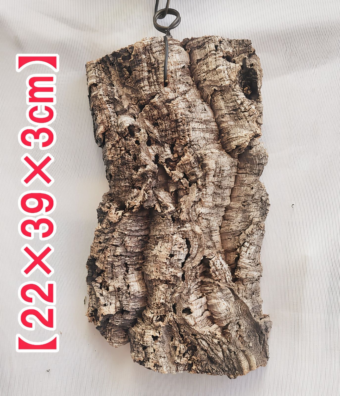 Q310 ポルトガル産 厚め コルク樹皮 コルク板 バージンコルク 送料無料