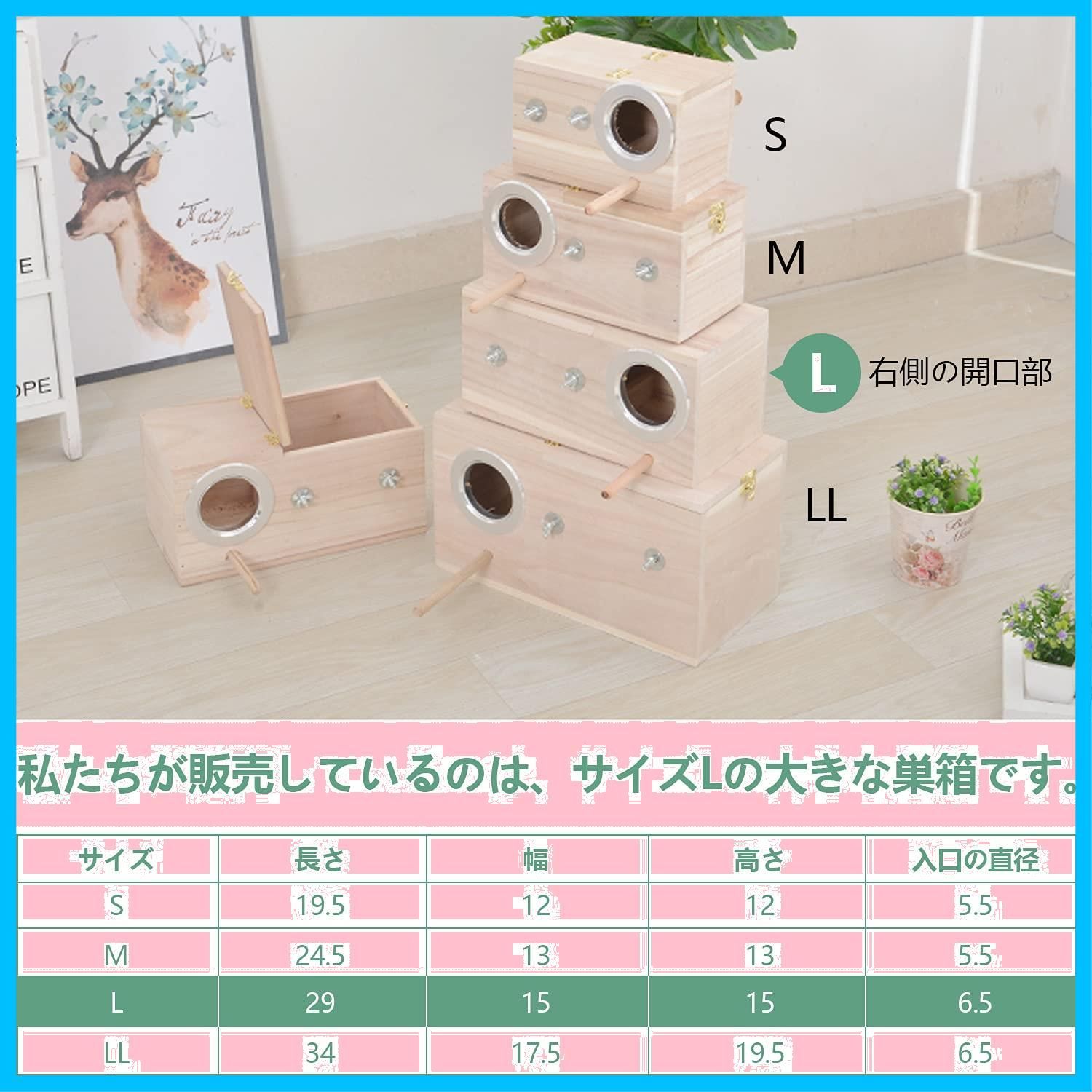 天然木材 インコ
