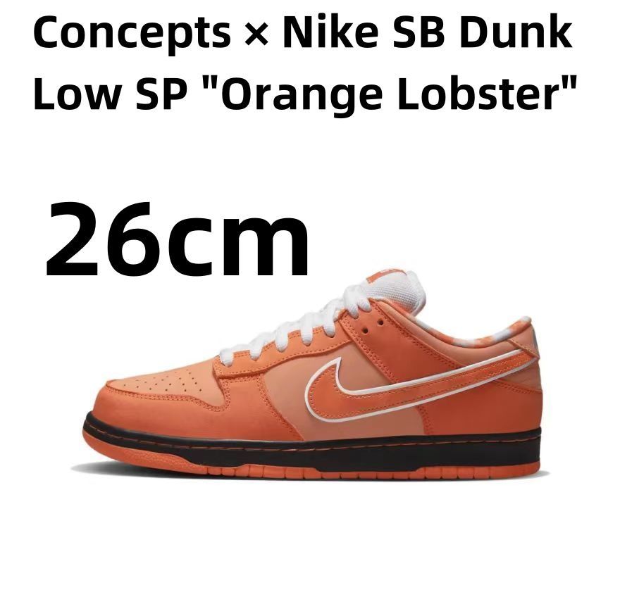 Concepts × Nike SB Dunk Low SP 