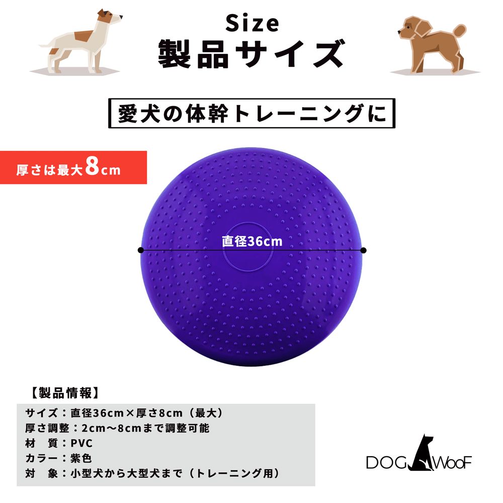 バランスディスク 犬