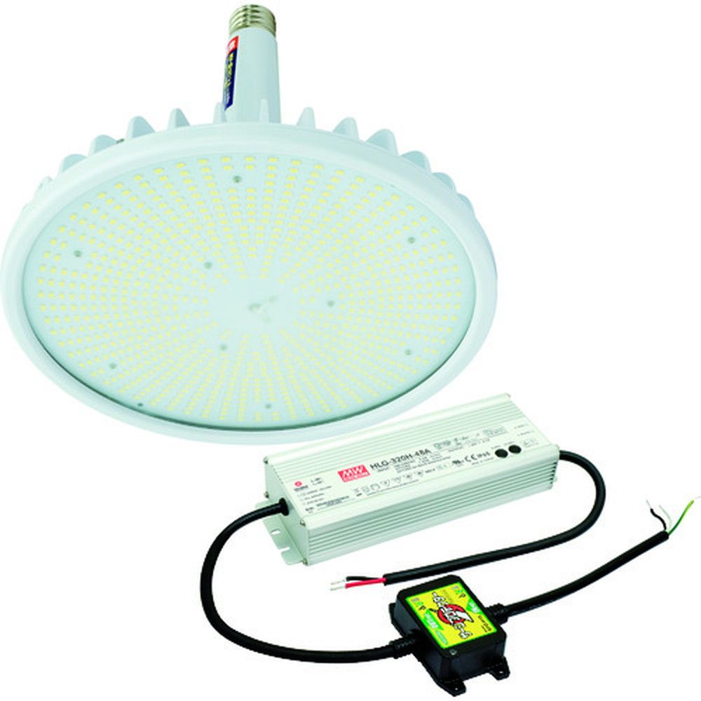 新品・未開封】DSL-5329WW DAIKOスポットライト非調光 2個セット 楽天