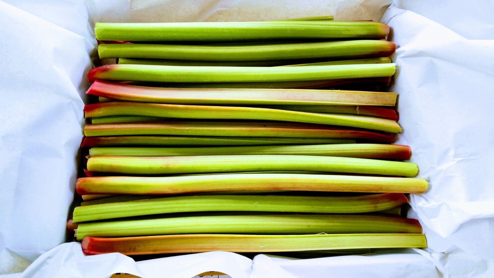 中古美品】GEN BK/PLUS ユニロック ブレイク ジャンプ シャフト Amazon