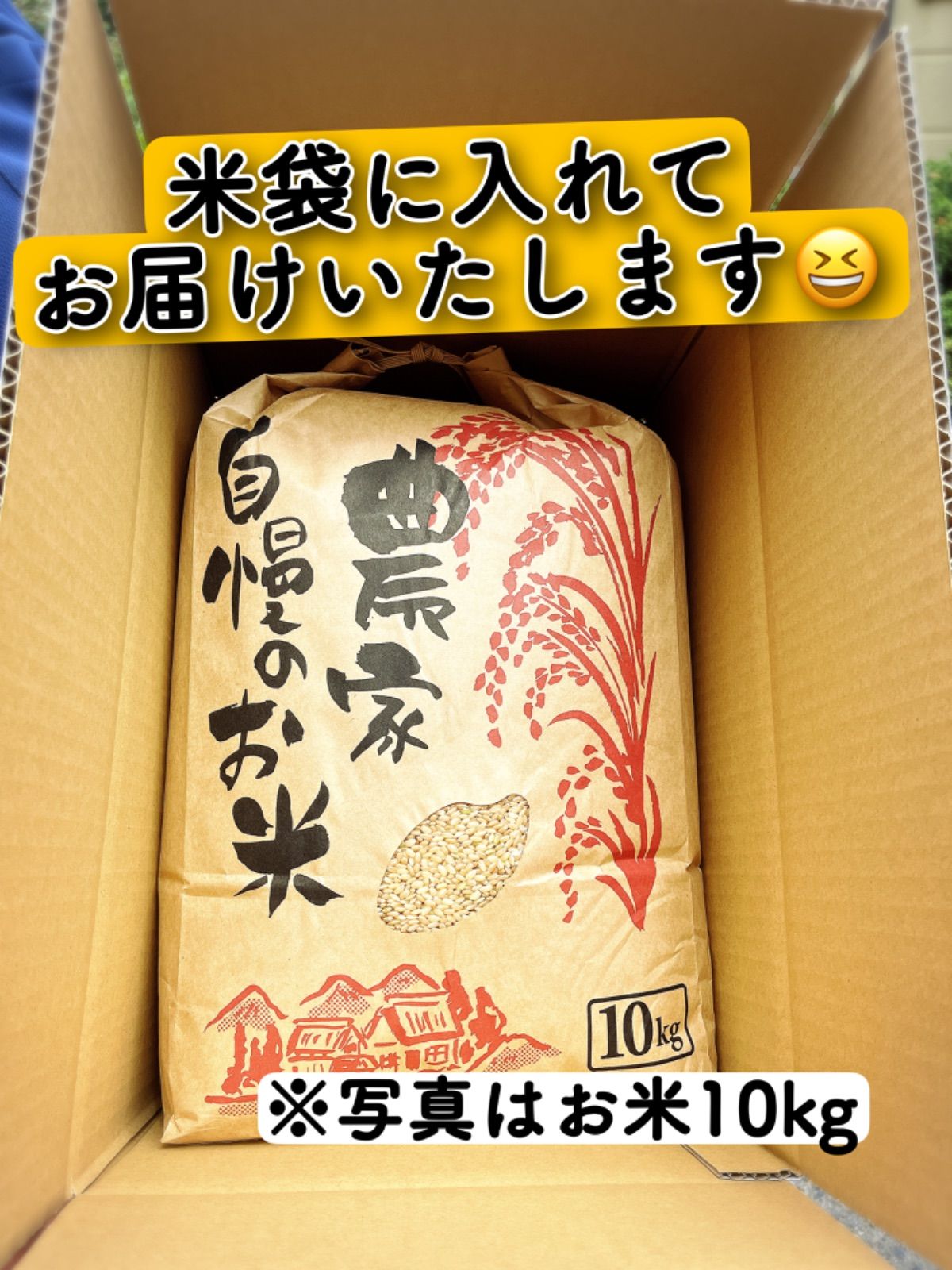 令和4年新米！近江米ミルキークイーン10kg