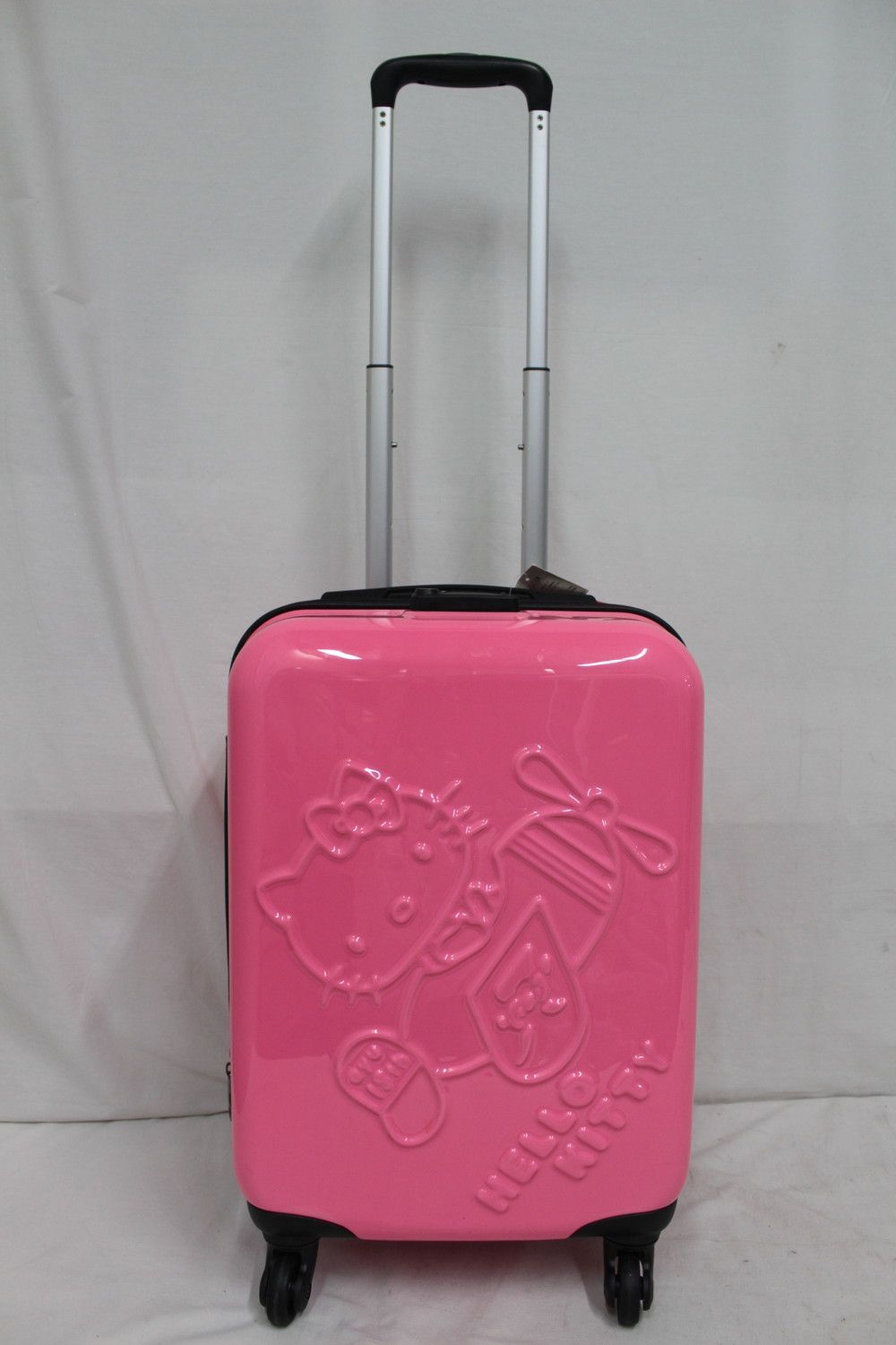 廃盤/patagonia/パタゴニア/ガーメントバッグ/スーツバッグ/旅行