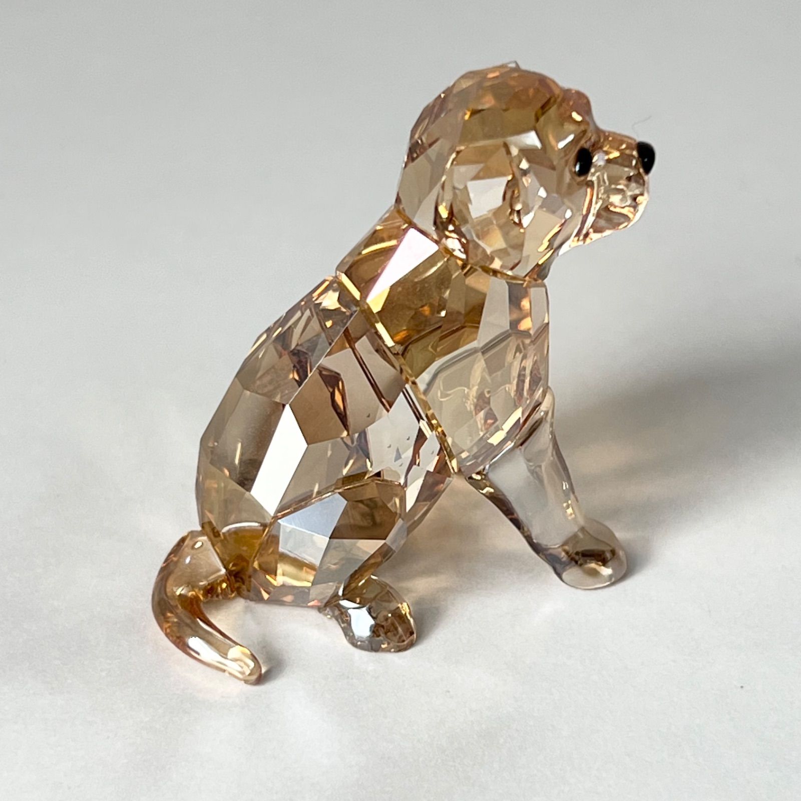 富田祐弘サイン本 I’’s アイズ JUMP jBOOKS 桂正和 富田祐弘サイン本 I''s アイズ JUMP jBOOKS 桂正和 Amazon.co.jp: I