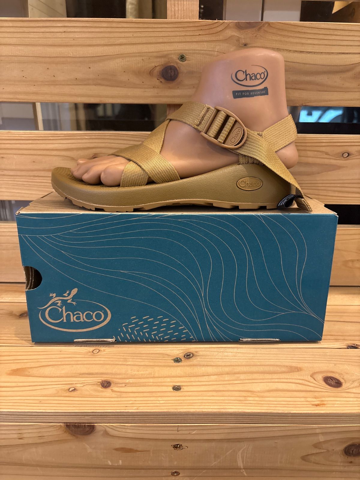 Chaco M s Z1 Classic BROWN サンダル