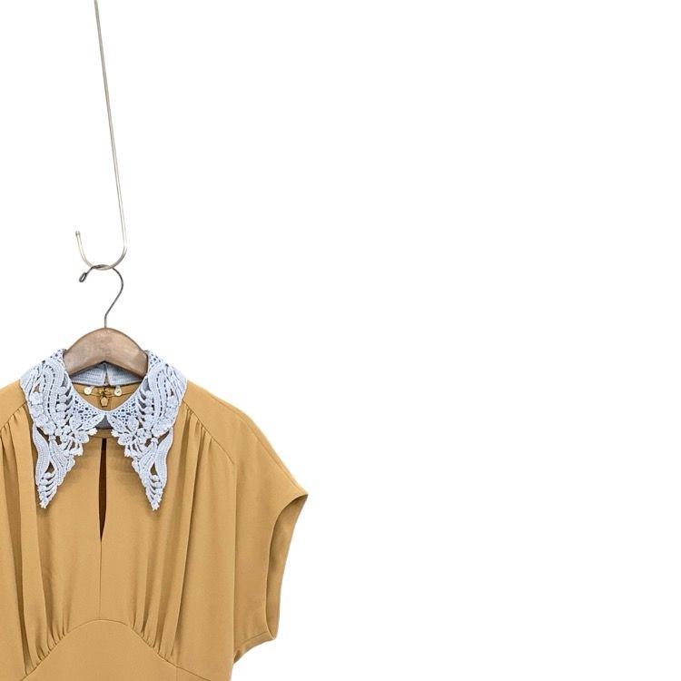 Mame Kurogouchi マメクロゴウチ Silk Lace Collar A-Line Dress