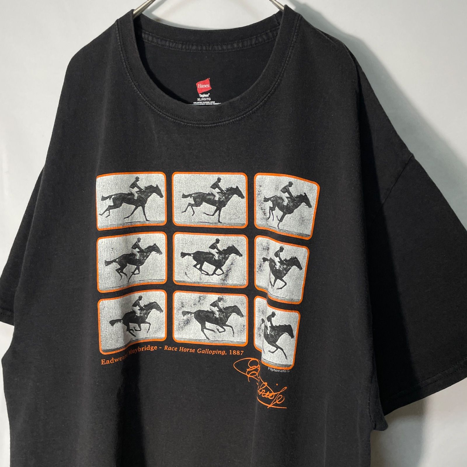 Hanes】イギリス 写真家 エドワード・マイブリッジ 動く馬 競走馬 