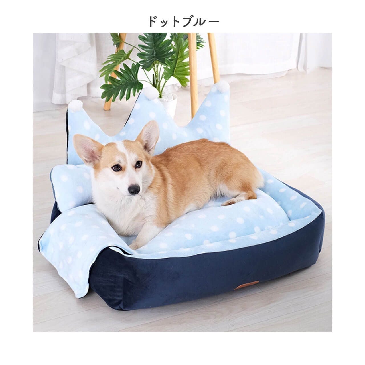 中型