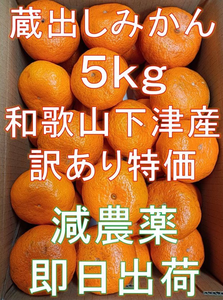 和歌山産の本格的「蔵出しみかん」です。 - 果物