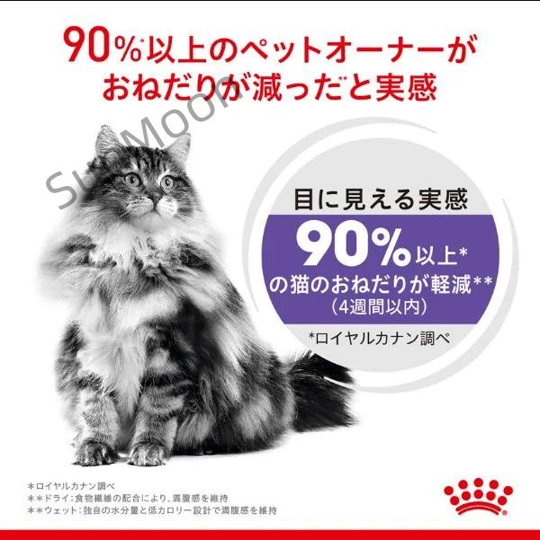おねだりの多い成猫用