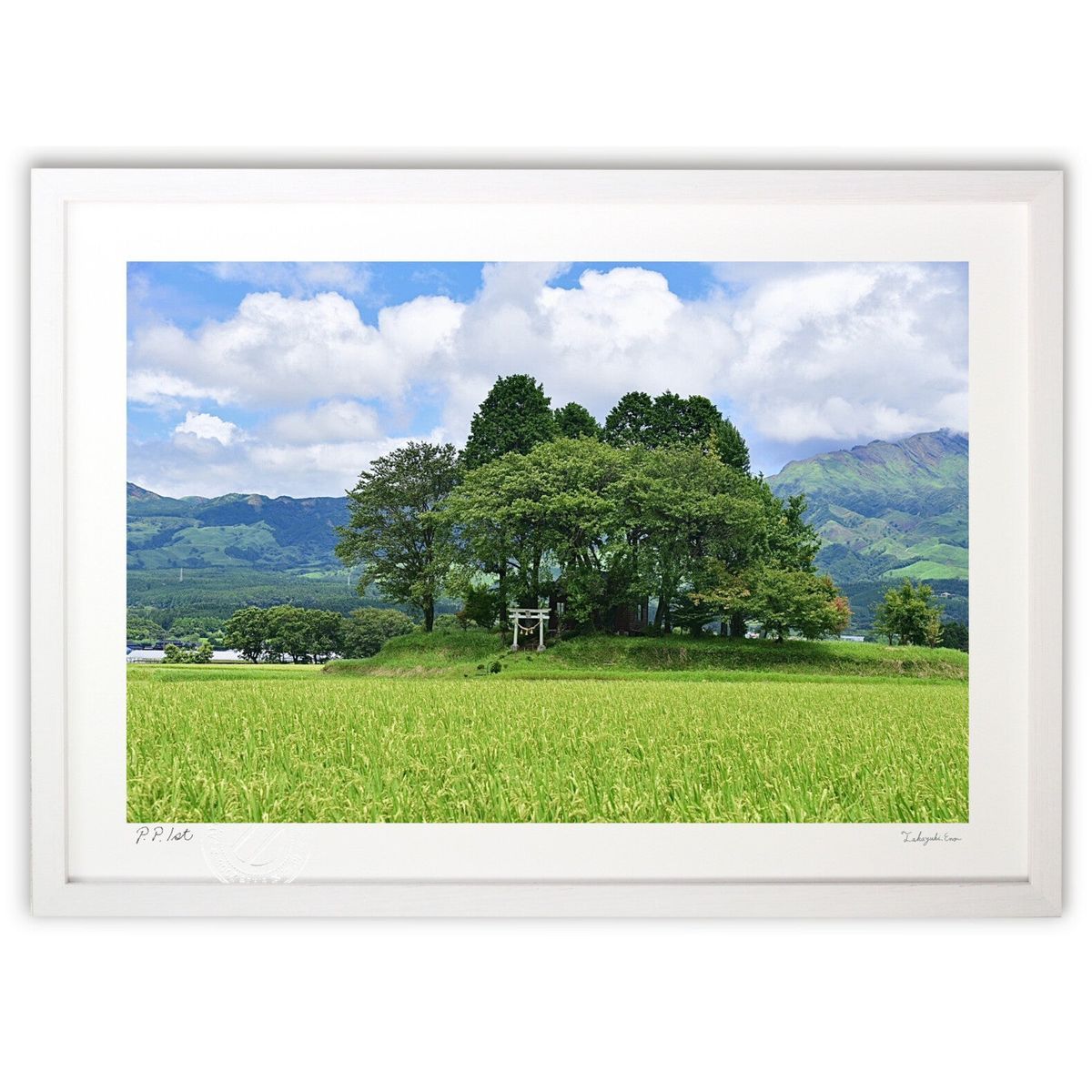 リトグラフ 自然風景 木製フレーム 版画 深緑の荒廃 (mitan)インテリア