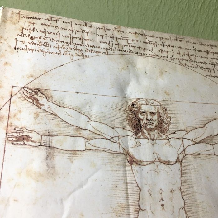 レオナルドのもう一つの遺産 図録 レオナルドダヴィンチ