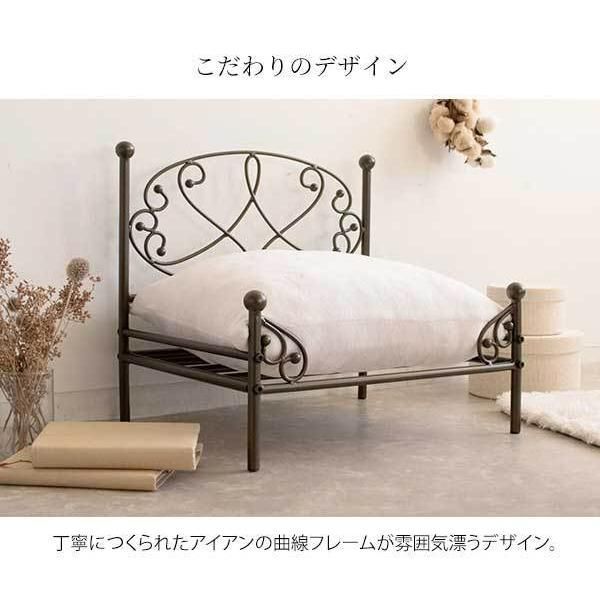ドッグ