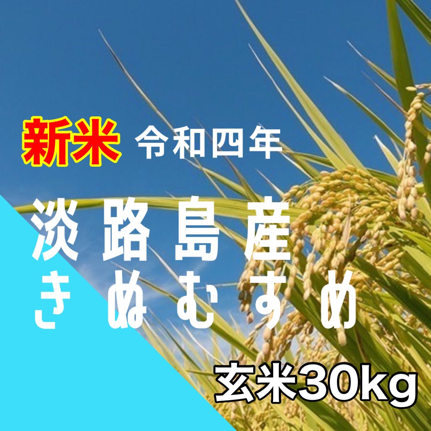 人気激安 新米 令和4年産 きぬむすめ 玄米30キロ 淡路島産 30kg 7857円