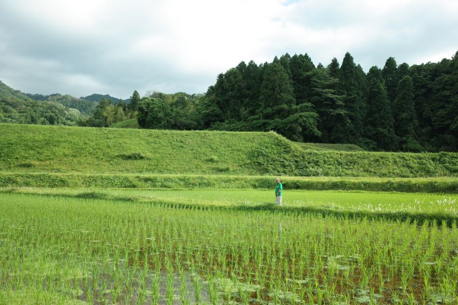 農家 響さん】（島根県仁多郡奥出雲町）の仁多米（減農薬・30kg