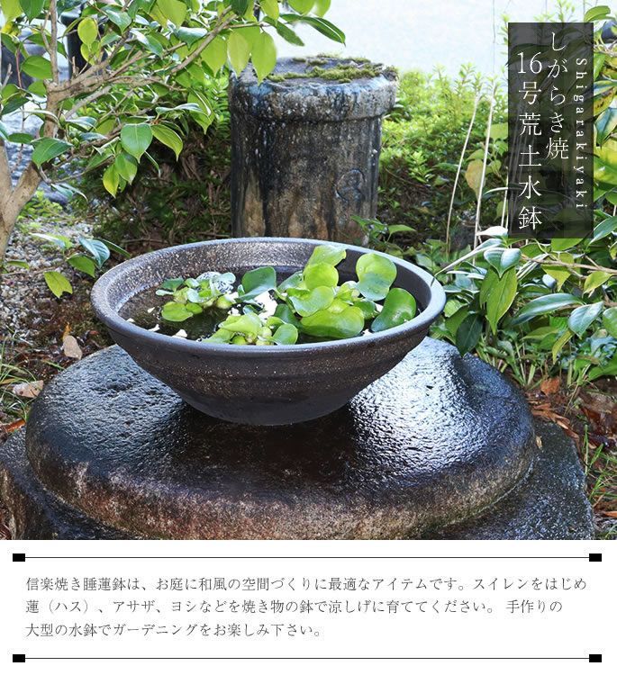 メダカ鉢