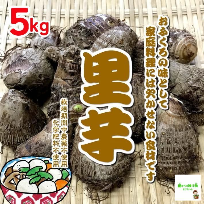 里芋 栽培期間中農薬不使用・化学肥料不使用 埼玉県産 １袋約５kg（M