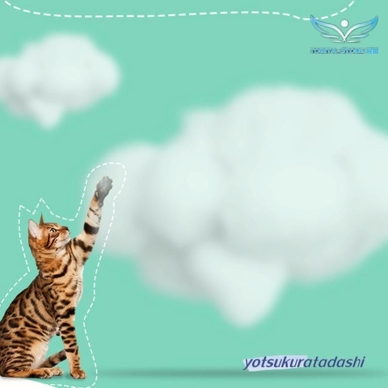 犬ベッド 洗える