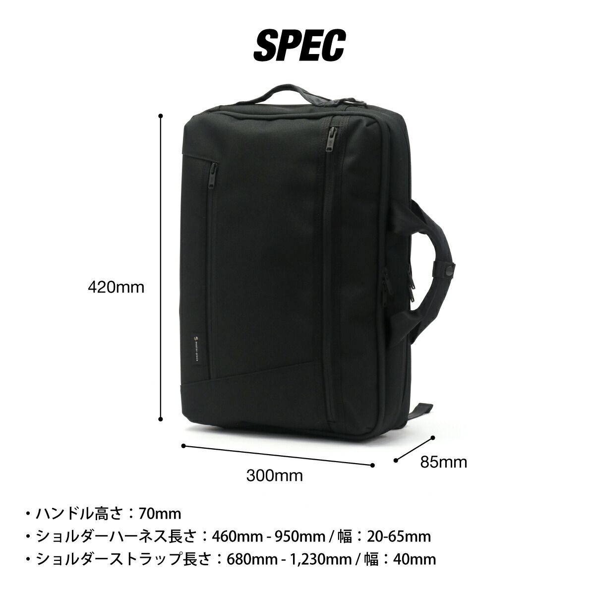 アグラオネマ TK便 猪突猛進 - 熱帯植物【アグラオネマ】