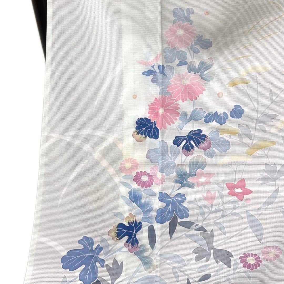 訪問着 夏用 絽 京加賀友禅 菊 桔梗 撫子 芝草 着物 042a d