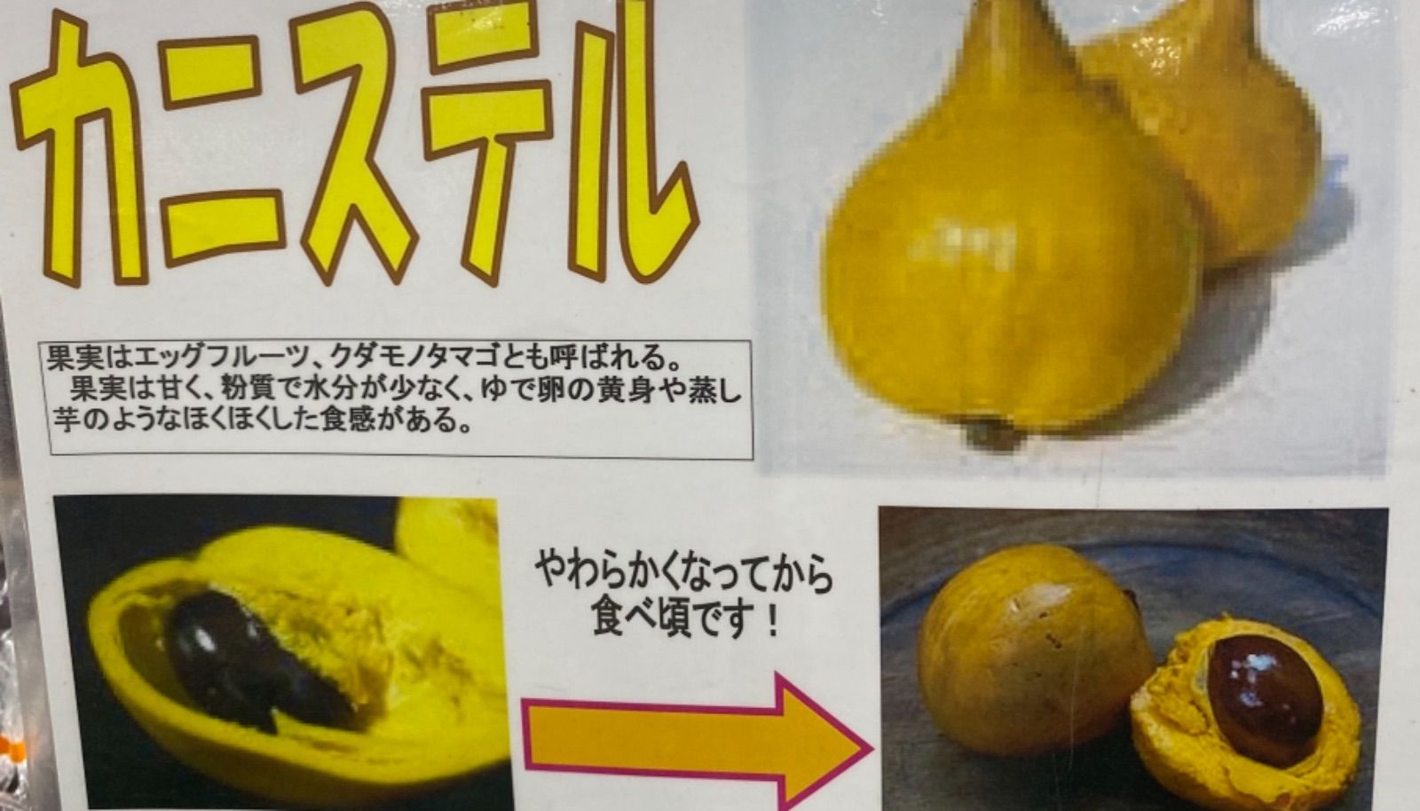 メルカリshops うちなーファーム南国フルーツセット ミニマンゴー1kg カニステル1kg