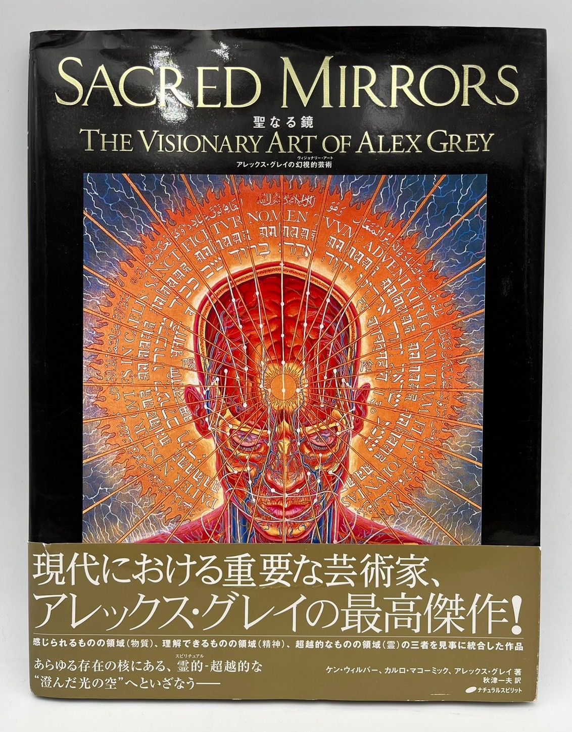 聖なる鏡 : アレックス・グレイの幻視的芸術 全日本送料無料 - アート