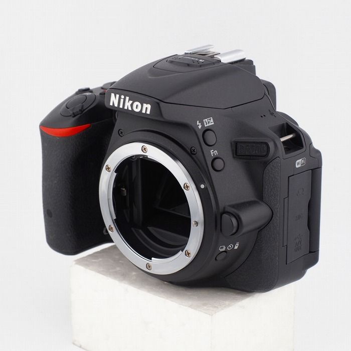 Nikon D5500
