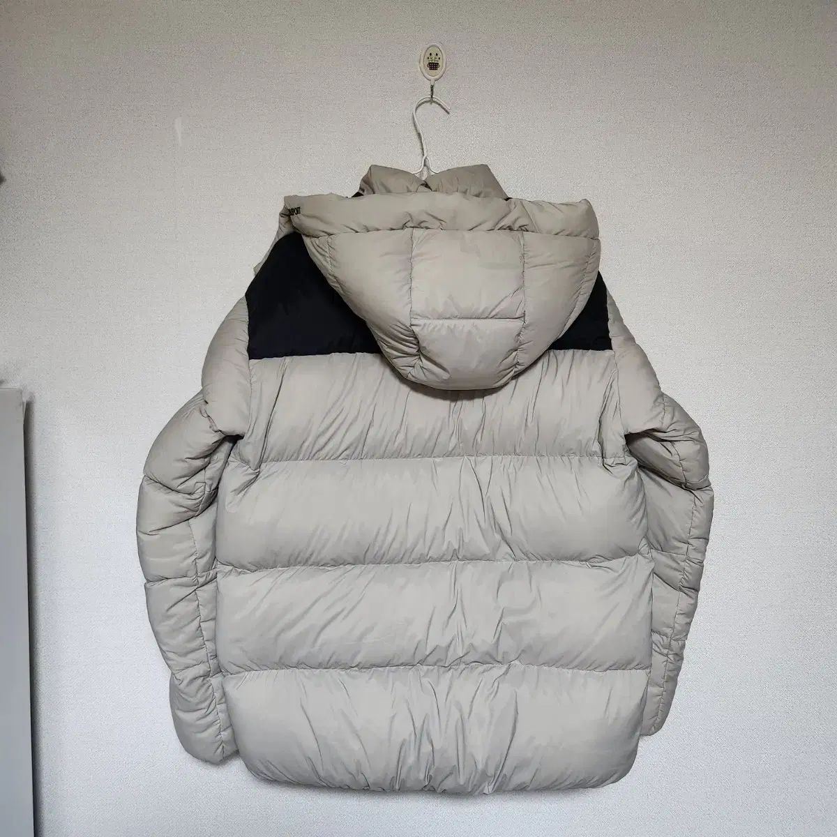 クリーニング済