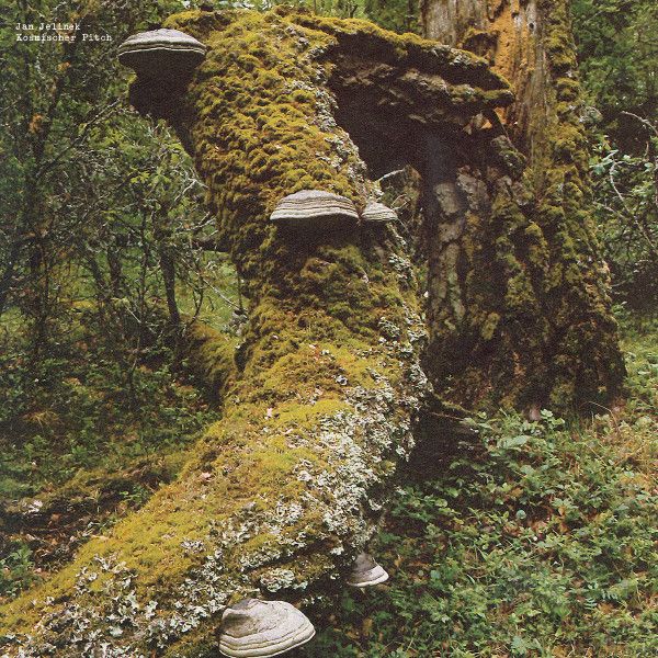 米LP Jan Jelinek Kosmischer Pitch faitback06 Faitiche |00260