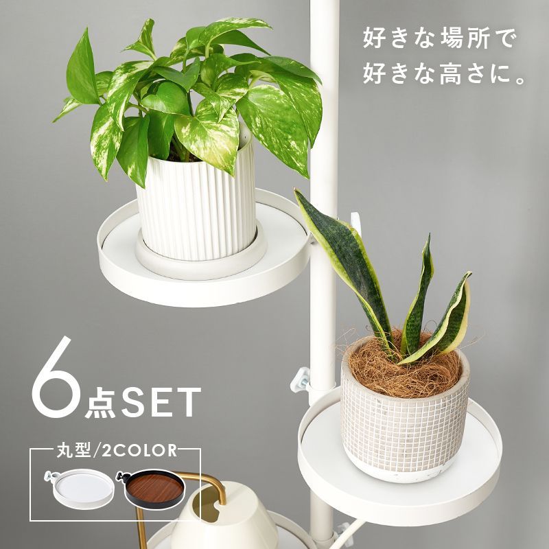 突っ張りラック 丸型トレイ5個付き FREE 突っ張り 収納 つっぱり棚