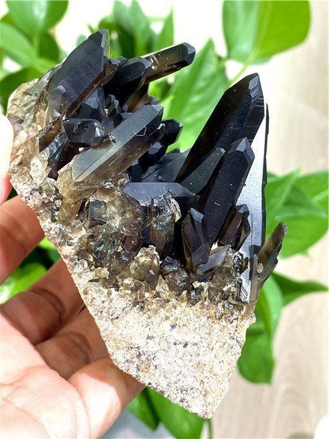 AAA級【魔除け】高透明度天然モリオン黒水晶クラスターB82C6/104C44A AAA級【魔除け】◇天然モリオン(黒水晶）クラスターYTHB86C6