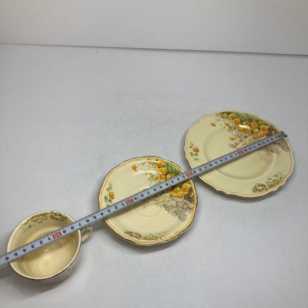 ロイヤルウィントン