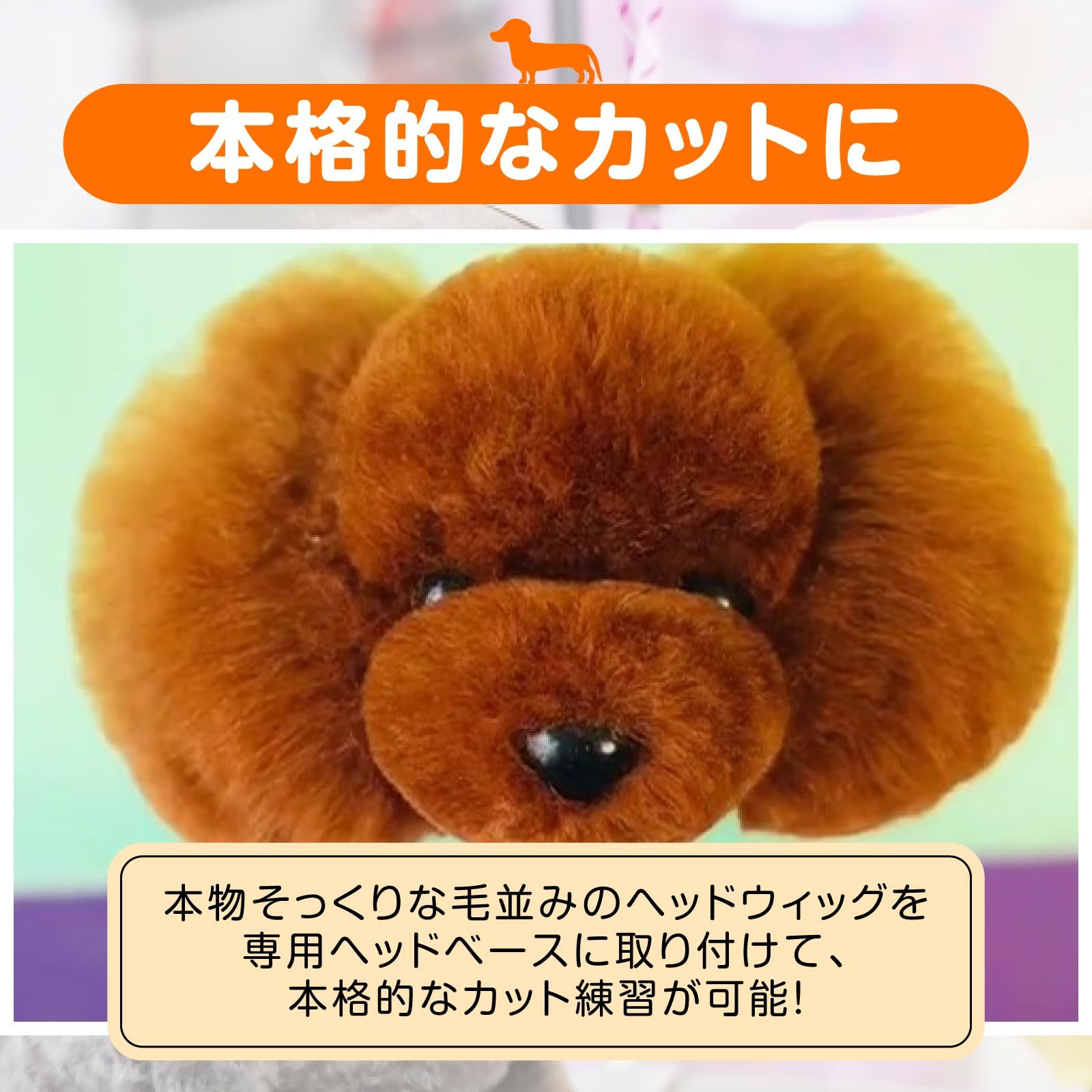 トリミング プードル