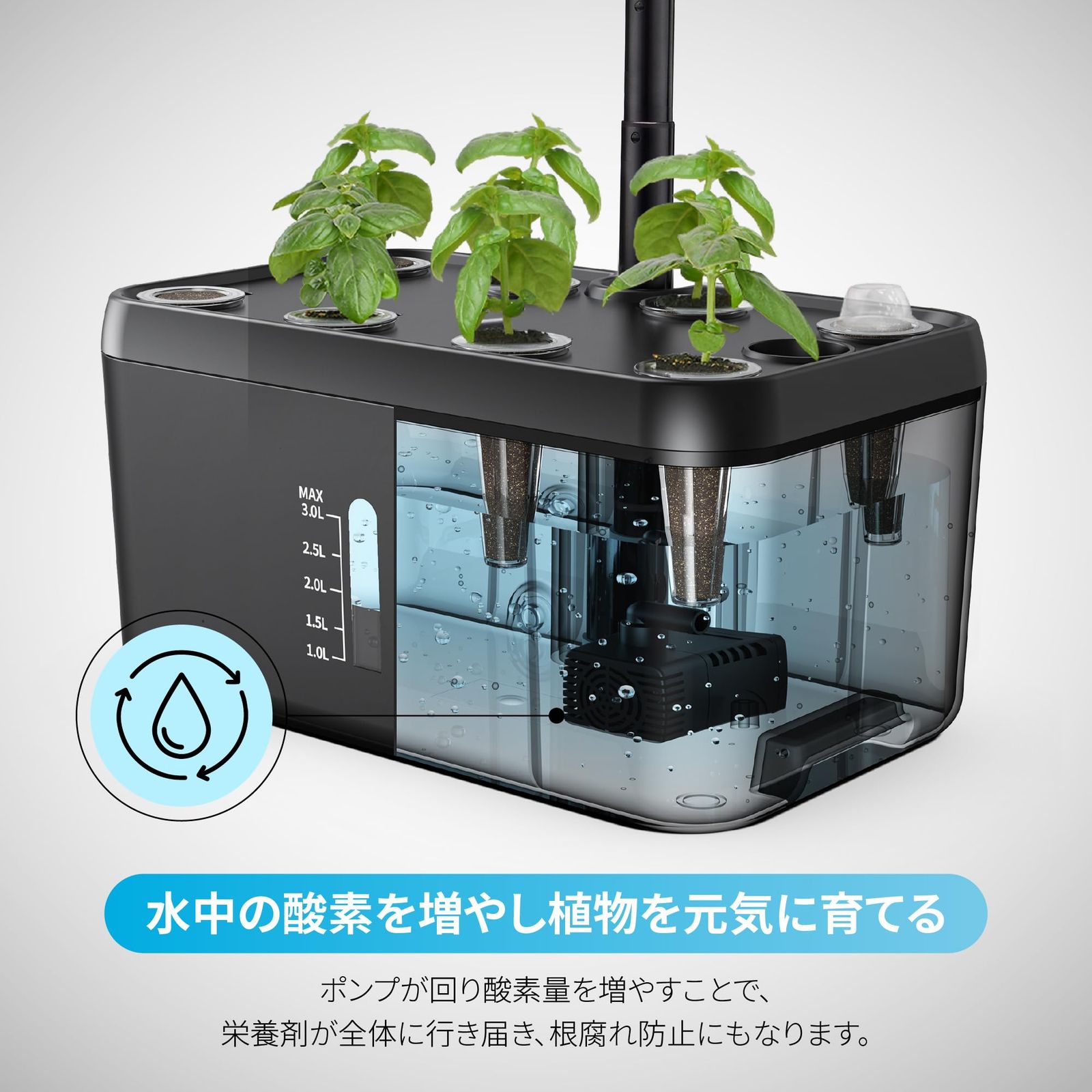 プレゼント