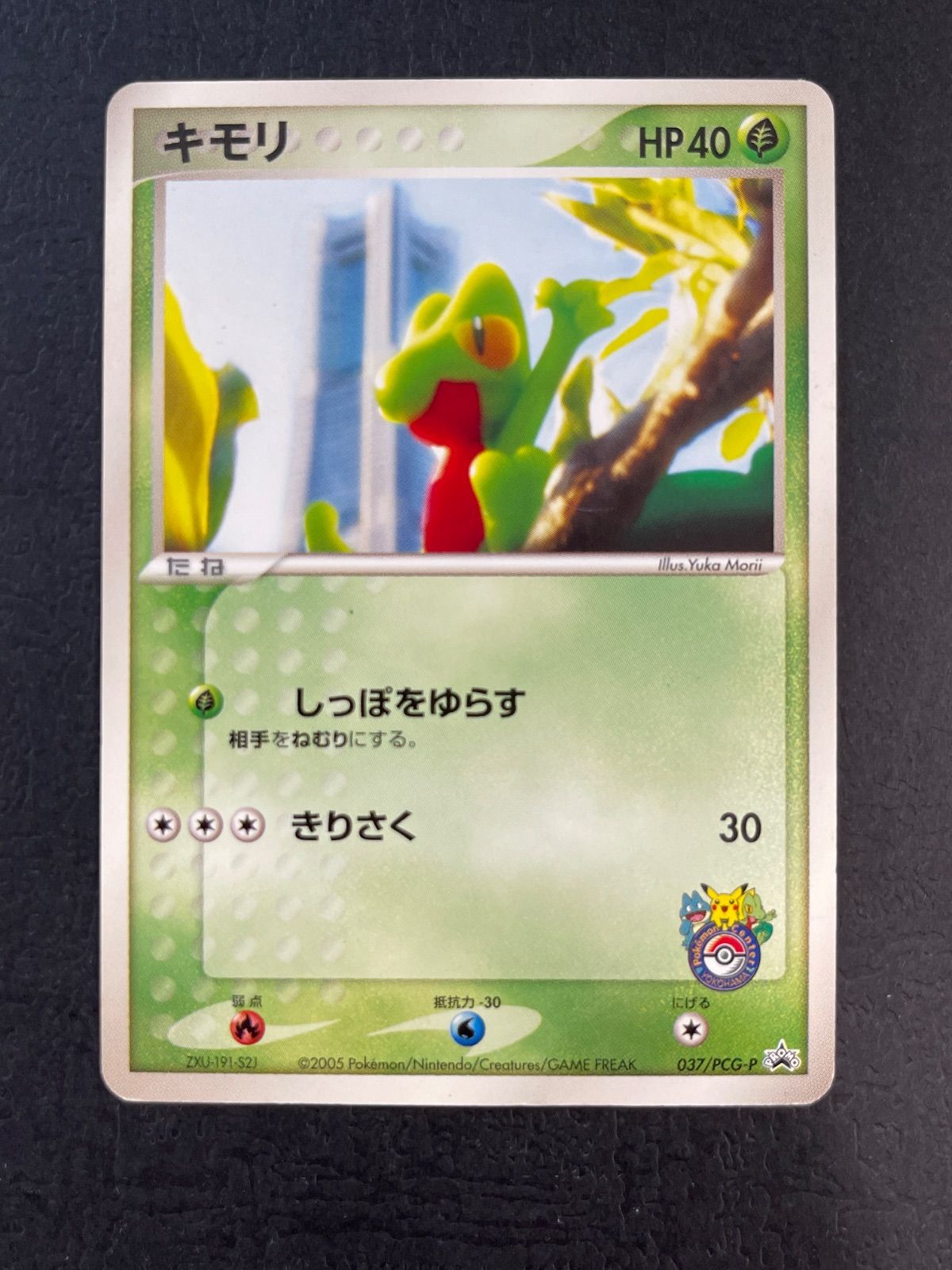 キモリ 037/PCG-P ポケモンセンター横浜オープン記念 ポケモン
