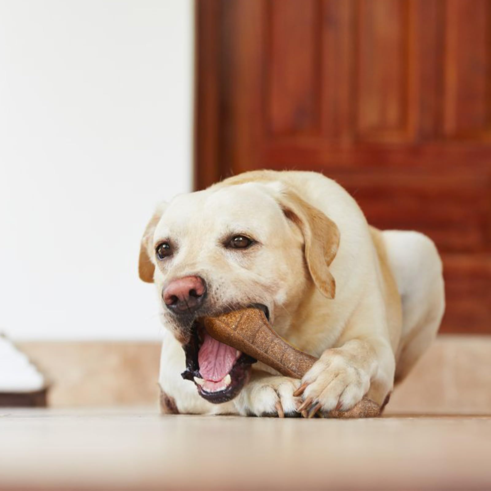 犬 おもちゃ 頑丈 ガイコツ 赤 ストレス発散 大型犬 中型犬 ペット Amazon | 犬 おもちゃ Oziral 犬用 噛む おもちゃ ゴム タイヤ