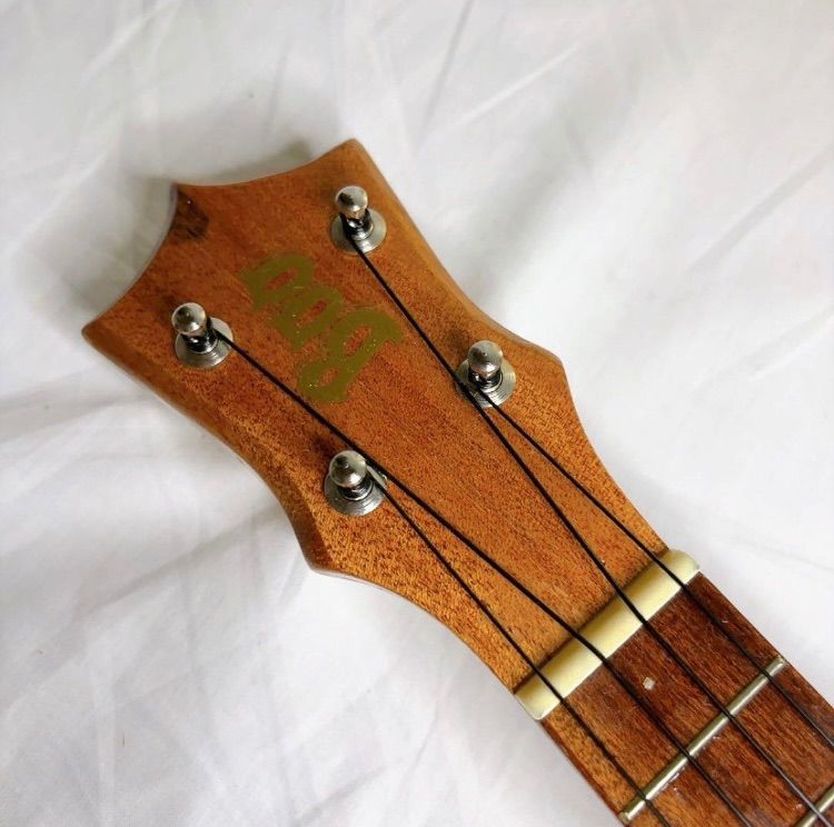 通信講座 DVDコース