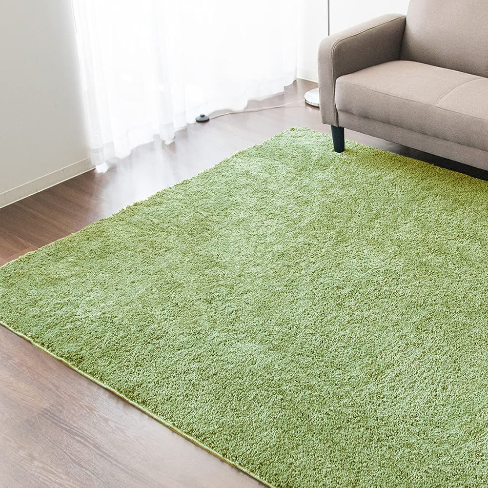 【人気商品】滑り止め付 カーペット オールシーズン 床暖房対応 ラグ グリーン 200×250 アイリスプラザ SYGR-S-2025