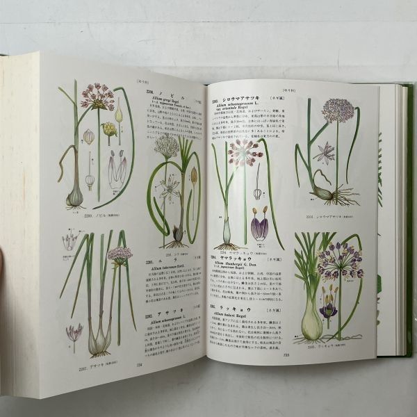 原色牧野植物大図鑑(正) 牧野富太郎 【公式通販】