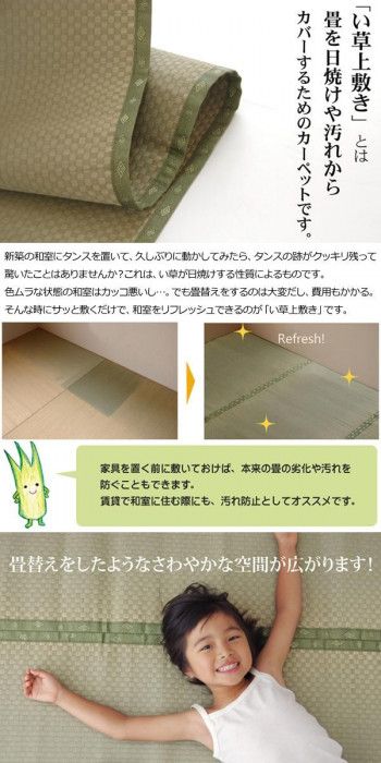 い草上敷 市松織