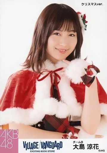 AKB48 ヴィレッジヴァンガード クリスマス 生写真 チームB
