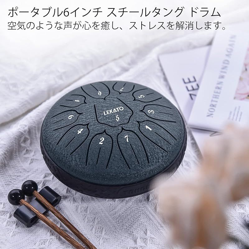 楽器・機材 スチールタングドラム 8音 専用バッグ マレット付