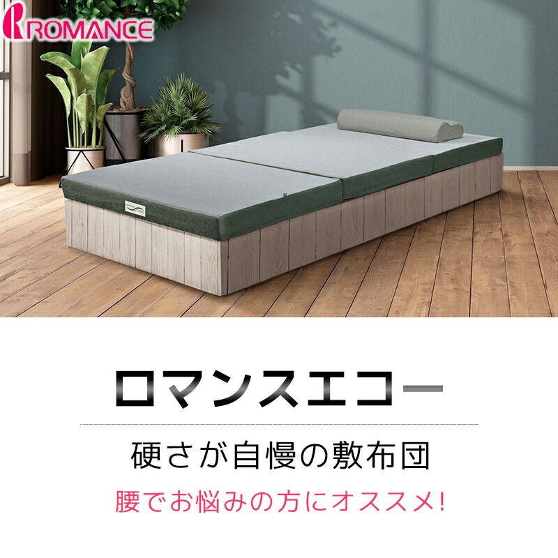 ロマンス エコー